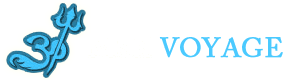 Msk voyage India