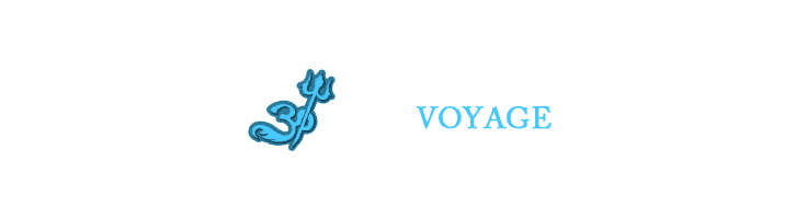 (c) Mskvoyageindia.fr